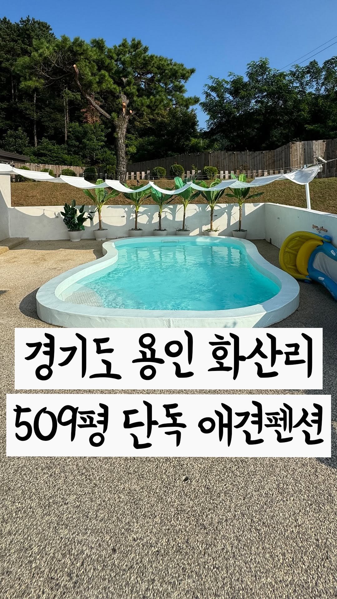 cho2_house 게시물 이미지: 수영장있는 잔디마당 넓은 애견펜션이에요🐶
->더보기 [...] 상세정보 있어요:)...