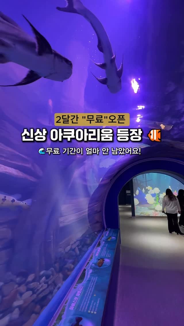 cho_menss 게시물 이미지: 딱 2달간만 무료입장 ! 
143억 들여 만든 신상 아쿠아리움🐟✨

여긴 진짜…...