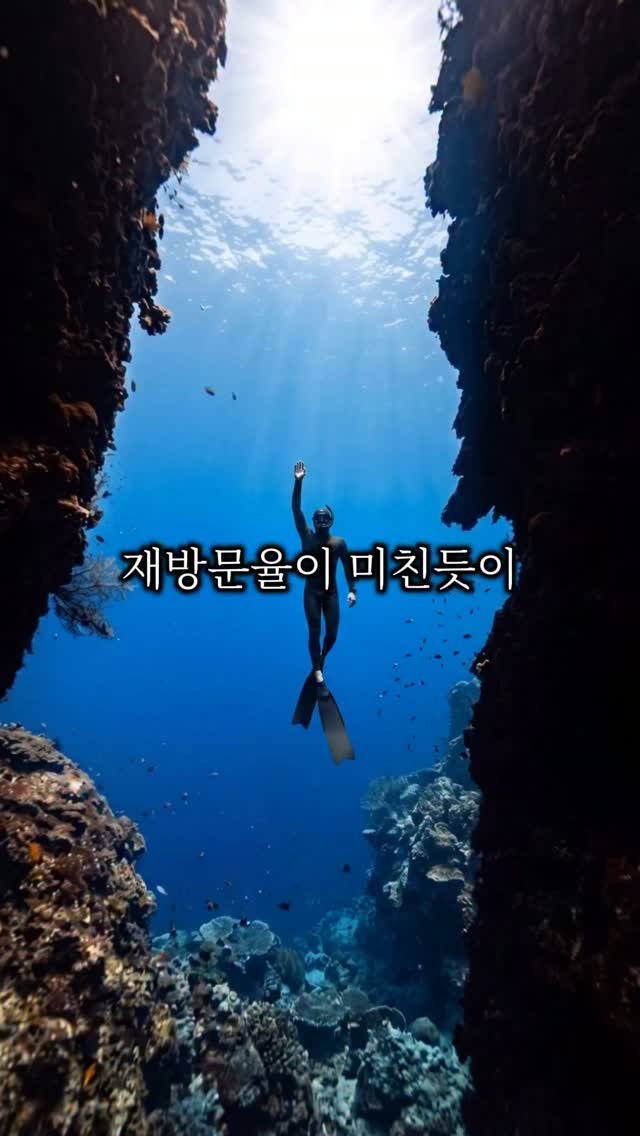 cho_menss 게시물 이미지: 🌴 이 가격이면 여행 안 가는 게 손해...✈️

한국인이 가장 사랑하는 5성급...