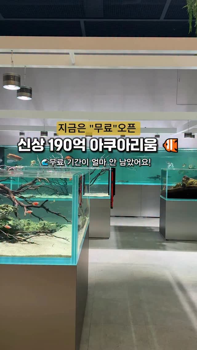 cho_menss 게시물 이미지: 190억 들여 만든 초신상 아쿠아리움🐟✨
📢아직까지는 무료입장가능!!!

오픈한지...