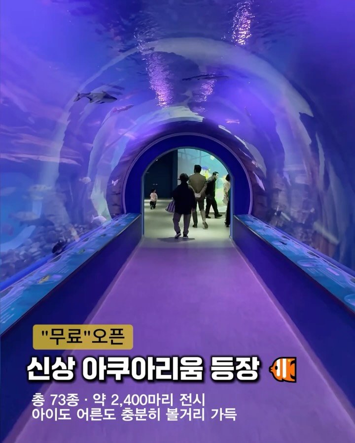 cho_menss 게시물 이미지: 143억 들여 만든 신상 아쿠아리움🐟✨
📢무료입장 기간 연장!!!

연말·연초...