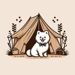 kevin.camping 프로필 사진