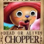 cho_muck 인스타그램 프로필 사진