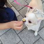 bongdalbongsoon 프로필 사진