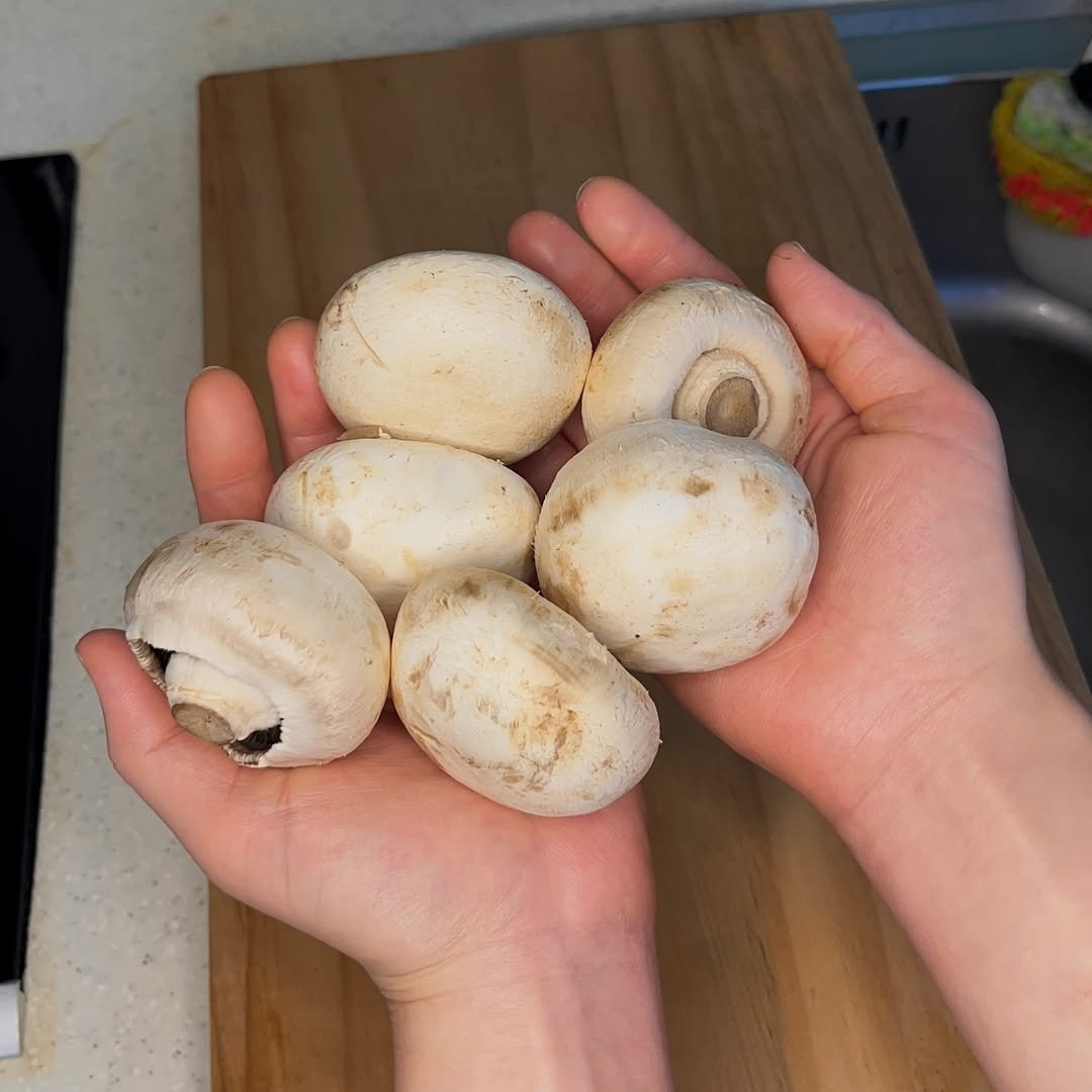 Photo by 금쪽이 초기 | 작은 주방 간단 레시피 | 혼밥도 맛있게 on August 28, 2024.