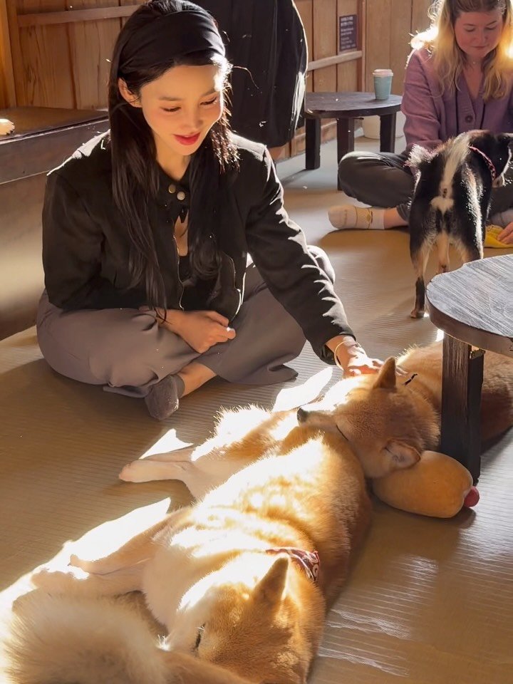 choi__yoojin 게시물 이미지: .
일본서 대학생활 할때도
하라쥬쿠는 1-2번만 갔던
동네였는데🤣
오모테산도랑...