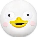 united_pengclub 프로필 사진