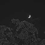 silverdawn.official 프로필 사진