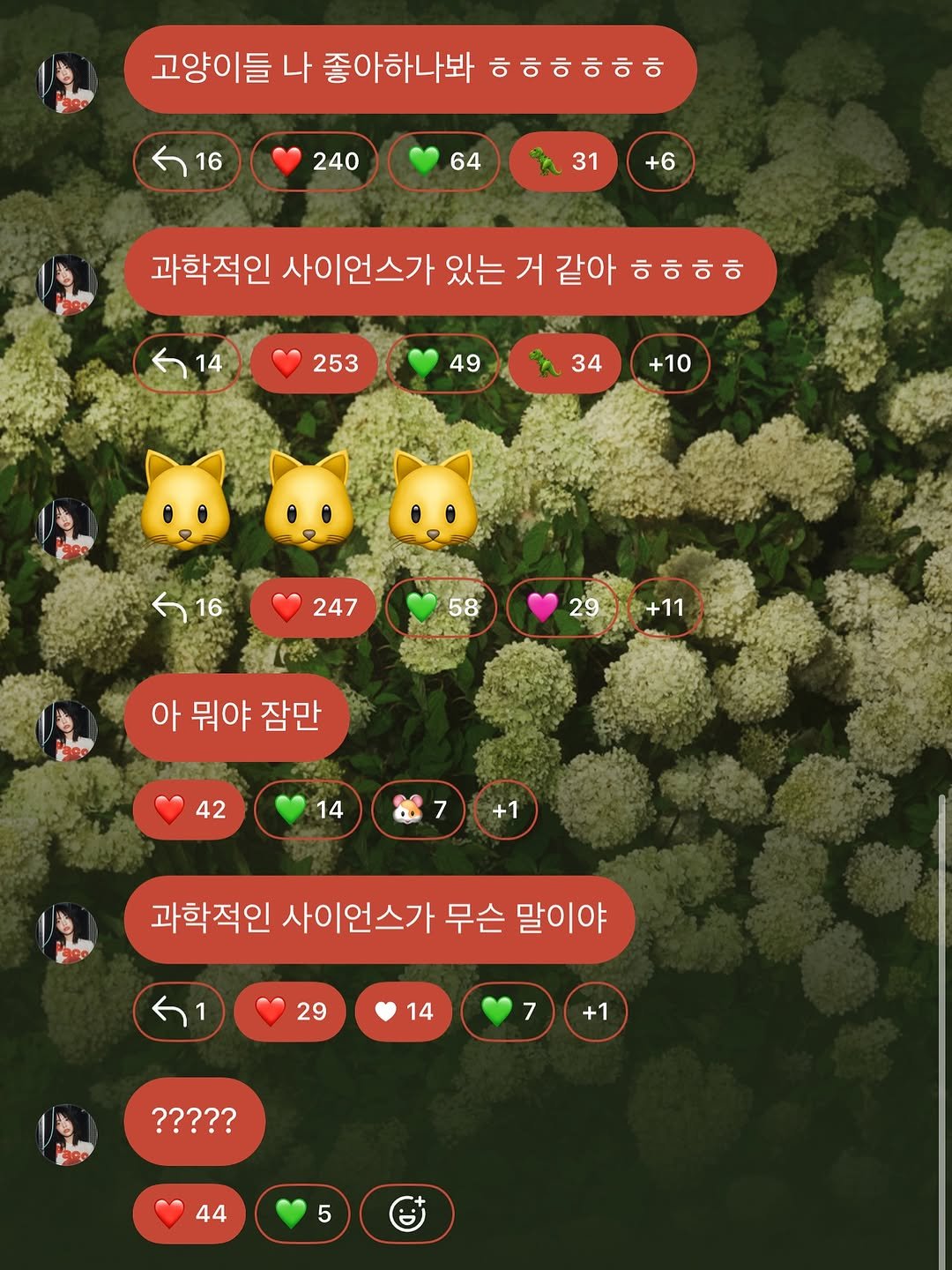 Photo by 쵸코냥밍 on September 22, 2025. May be an image of text that says '고양이들 나 좋아하나봐 ㅎㅎㅎㅎㅎㅎ 16 240 64 31 +6 과학적인 사이언스가 있는 거 같아 ㅎㅎㅎㅎ 14 14 253 49 34 +10 16 16 247 58 イーッサル 29-6+11 29 +11 아뭐야잠만 아 뭐야 잠만 42 14 7 7 +1 과학적인 사이언스가 무슨 말이야 1 29 14 7 +1 ????? 44'.