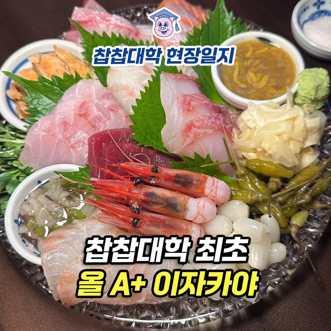 Photo by 🏫 찹찹대학 맛집리뷰학과 [서울맛집.가성비맛집.오마카세] on September 18, 2025. May be an image of sashimi, tofu and text that says 'കීി ወ 찹합대학 현장일지 찹참대학 최초 올 울A+이자카야 올A+ A+ 이자카야'.