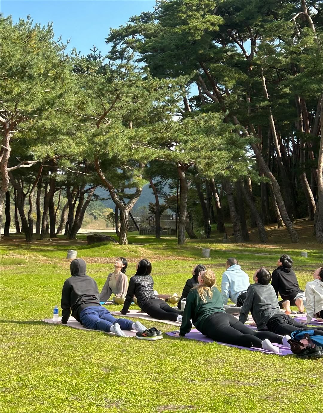 chsyne 게시물 이미지: 🌍 각 국에서 모인 외국인분들과 함께
경북 예천 #선몽대에서 웰니스 행사를 진행하고...