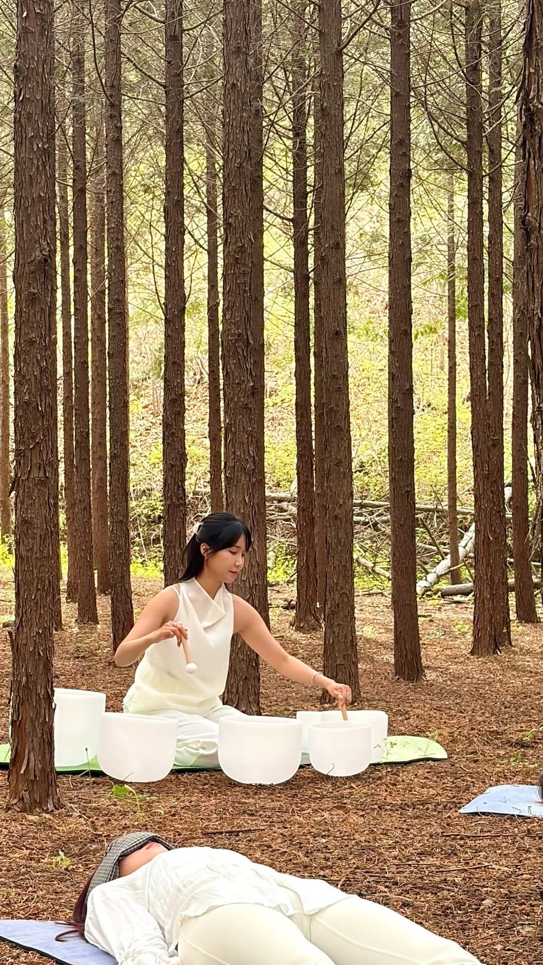 chsyne 게시물 이미지: 🌳