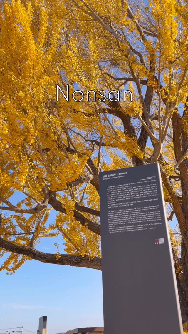 chu_jpsj 게시물 이미지: #논산시 #논산시sns서포터즈 

논산에 이런곳이 있었다니?!

충청남도 기념물로...