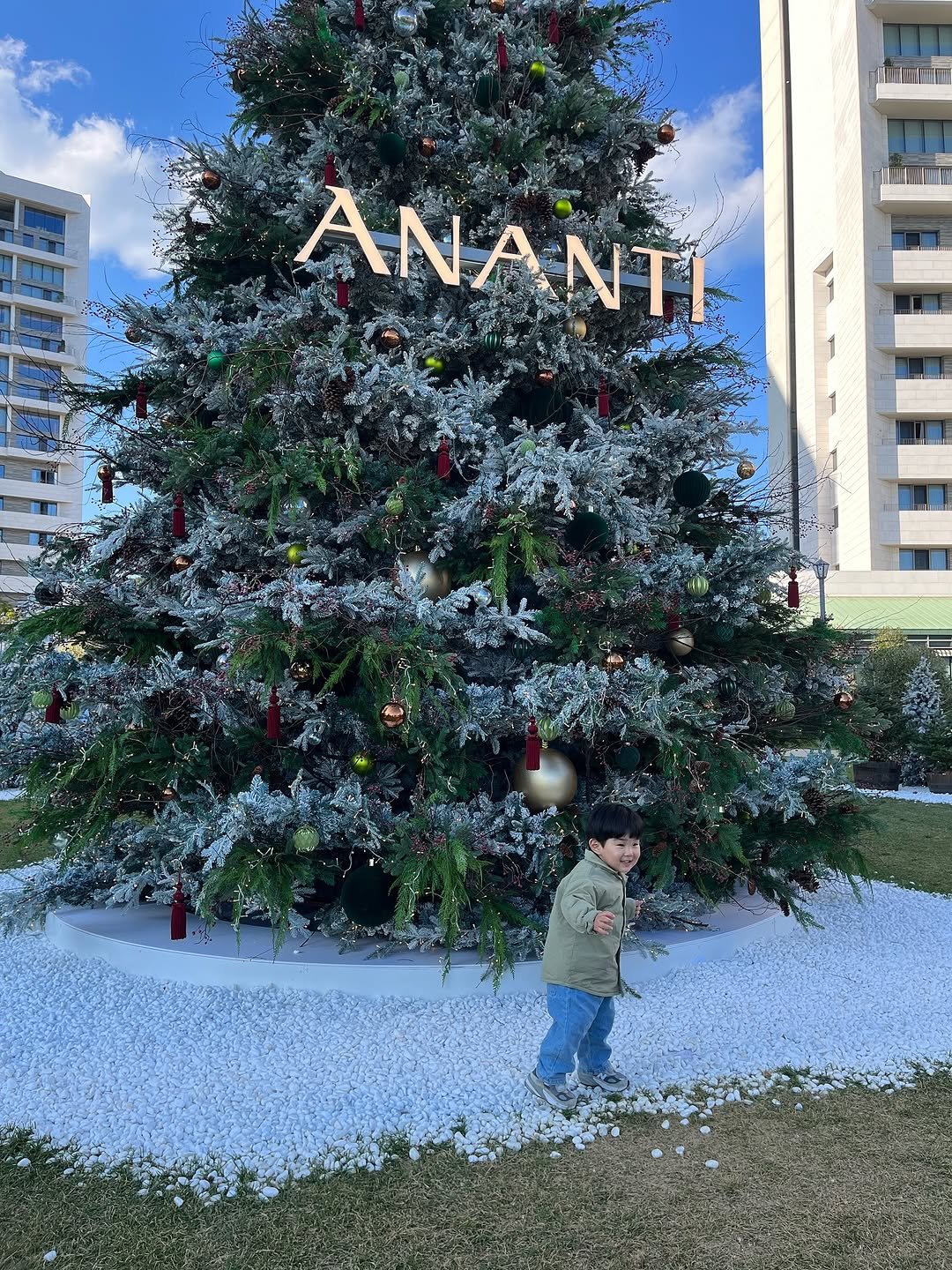 Photo by 이츄맘💖 on November 04, 2025. May be an image of christmas tree, tinsel and text that says 'ANANTI NTI ANA'.