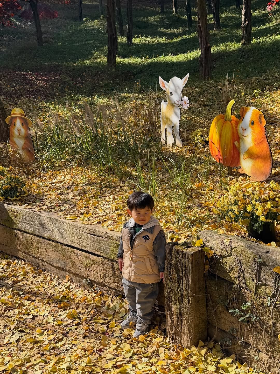 Photo by 이츄맘💖 on November 19, 2025. May be an image of child, scarecrow and text.