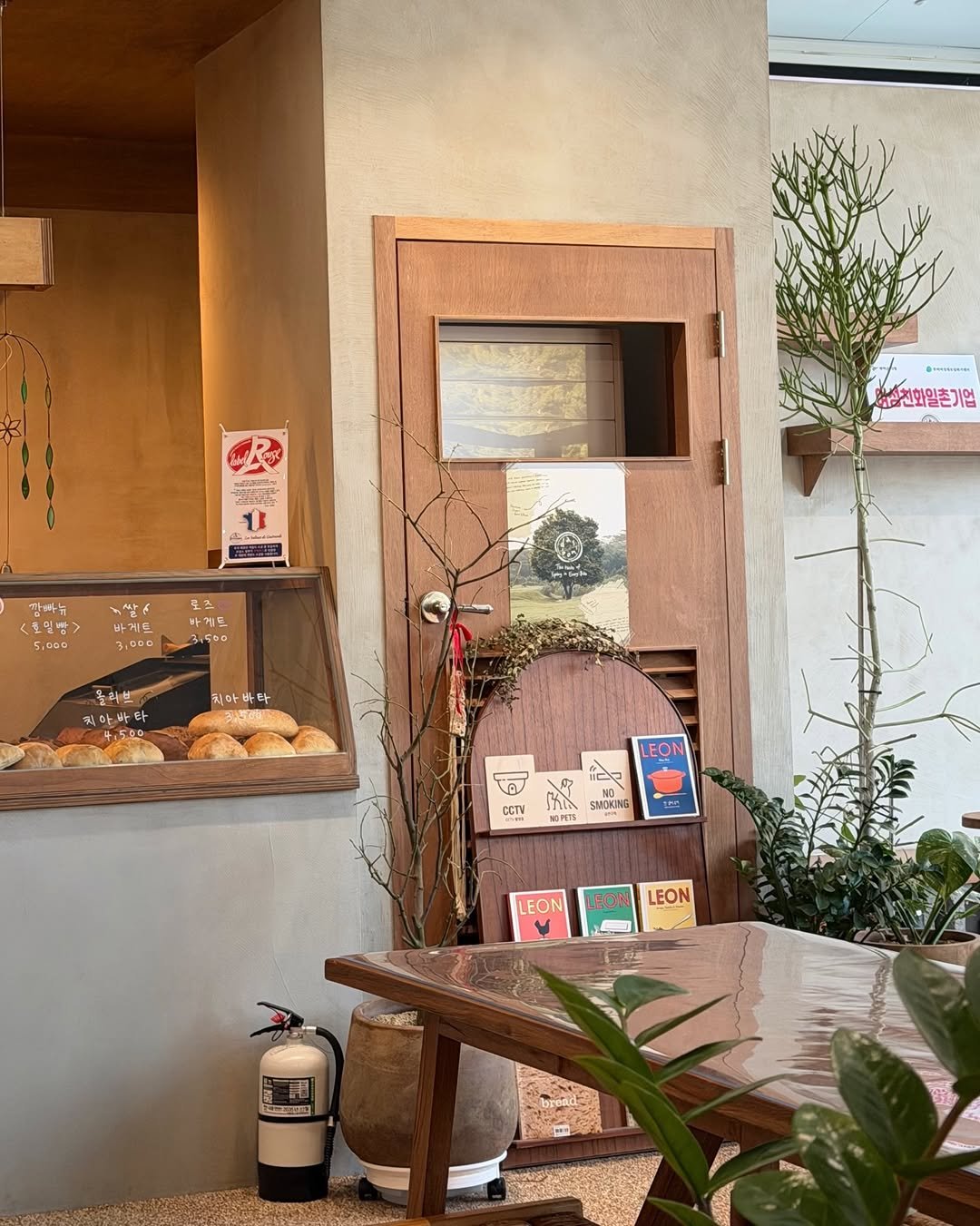 Photo by 이츄맘💖 on February 02, 2026. May be an image of baguette, display case, cornflower and text.