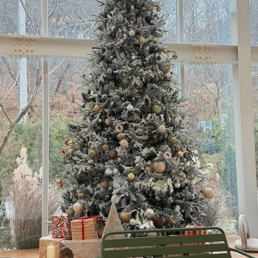 Photo by 이츄맘💖 on December 28, 2025. May be an image of christmas tree, tinsel and text.