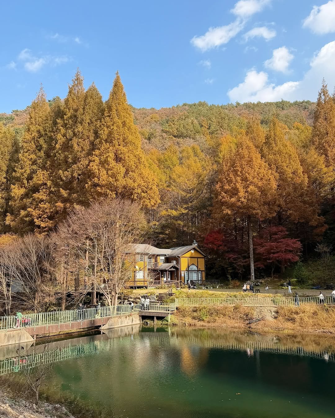 Photo by 이츄맘💖 on November 12, 2025. May be an image of lake and text.