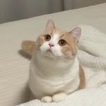 lawoori 프로필 사진