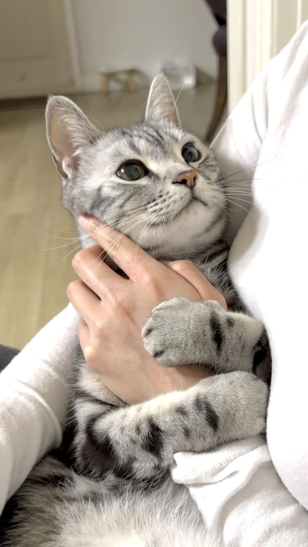 chunbae_gram 게시물 이미지: 눈에서 하트 뿅뿅💓

Love-filled eyes...