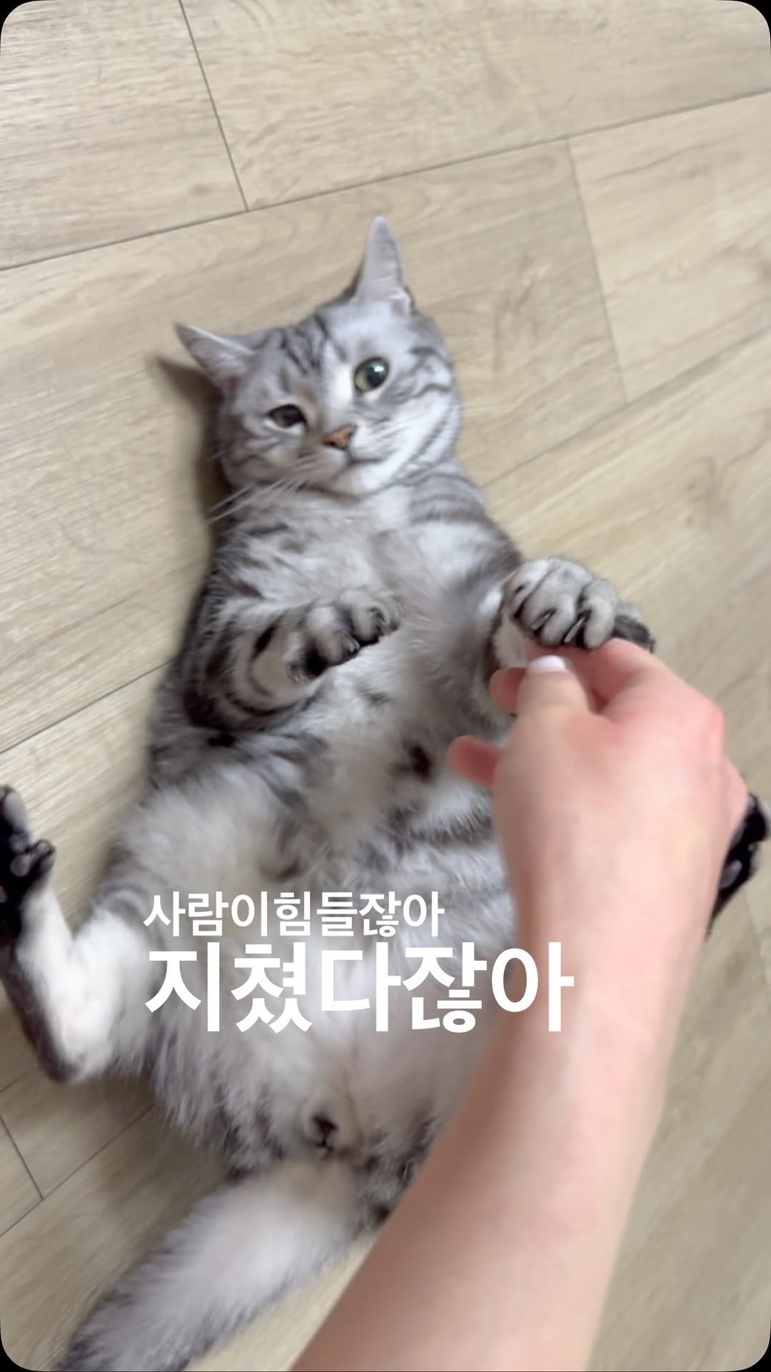 chunbae_gram 게시물 이미지: 