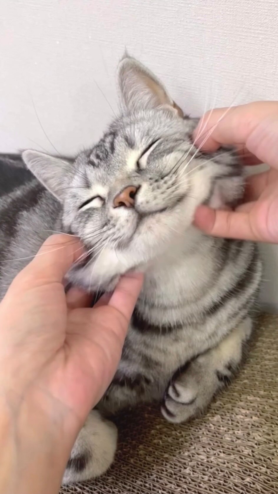 chunbae_gram 게시물 이미지: 오레오 반죽하기🍪🍞👩🏻‍🍳

Making Oreo...