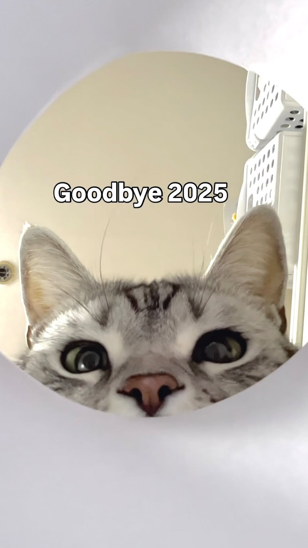 chunbae_gram 게시물 이미지: 2025 춘배 결산👐🏻
내년에도 쭌배 많이 사랑해주세용💞

Goodbye...