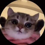yumi_ummiiii 프로필 사진