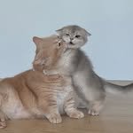 _woo._.dong 프로필 사진