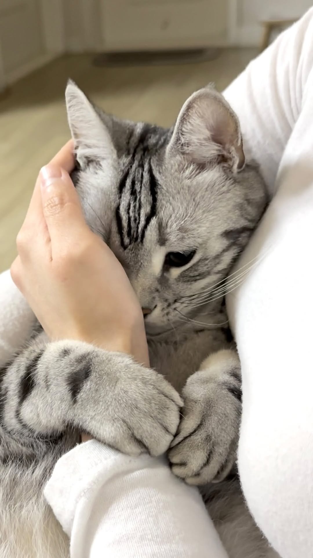 chunbae_gram 게시물 이미지: 계속 쓰다듬어 달라고 했자나용🥹

I said keep petting...