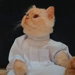 miyavlikedicikler 프로필 사진