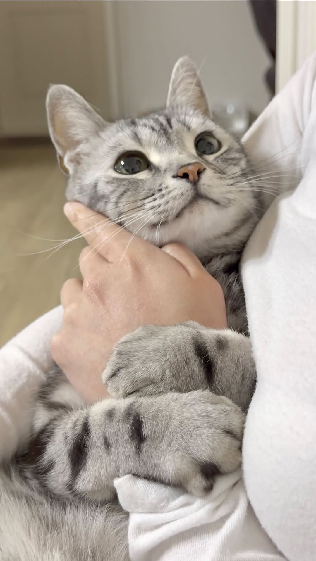chunbae_gram 게시물 이미지: 눈에서 꿀 떨어지는중🥹🍯

Eyes full of sweetness...