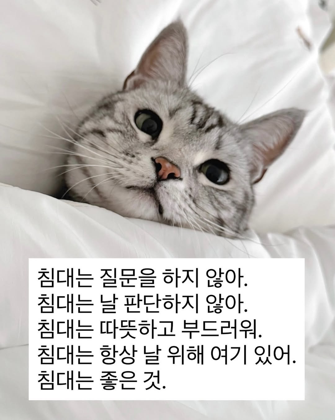 chunbae_gram 게시물 이미지: 