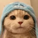 cattiepark 프로필 사진