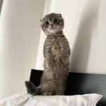 shake_1121 프로필 사진
