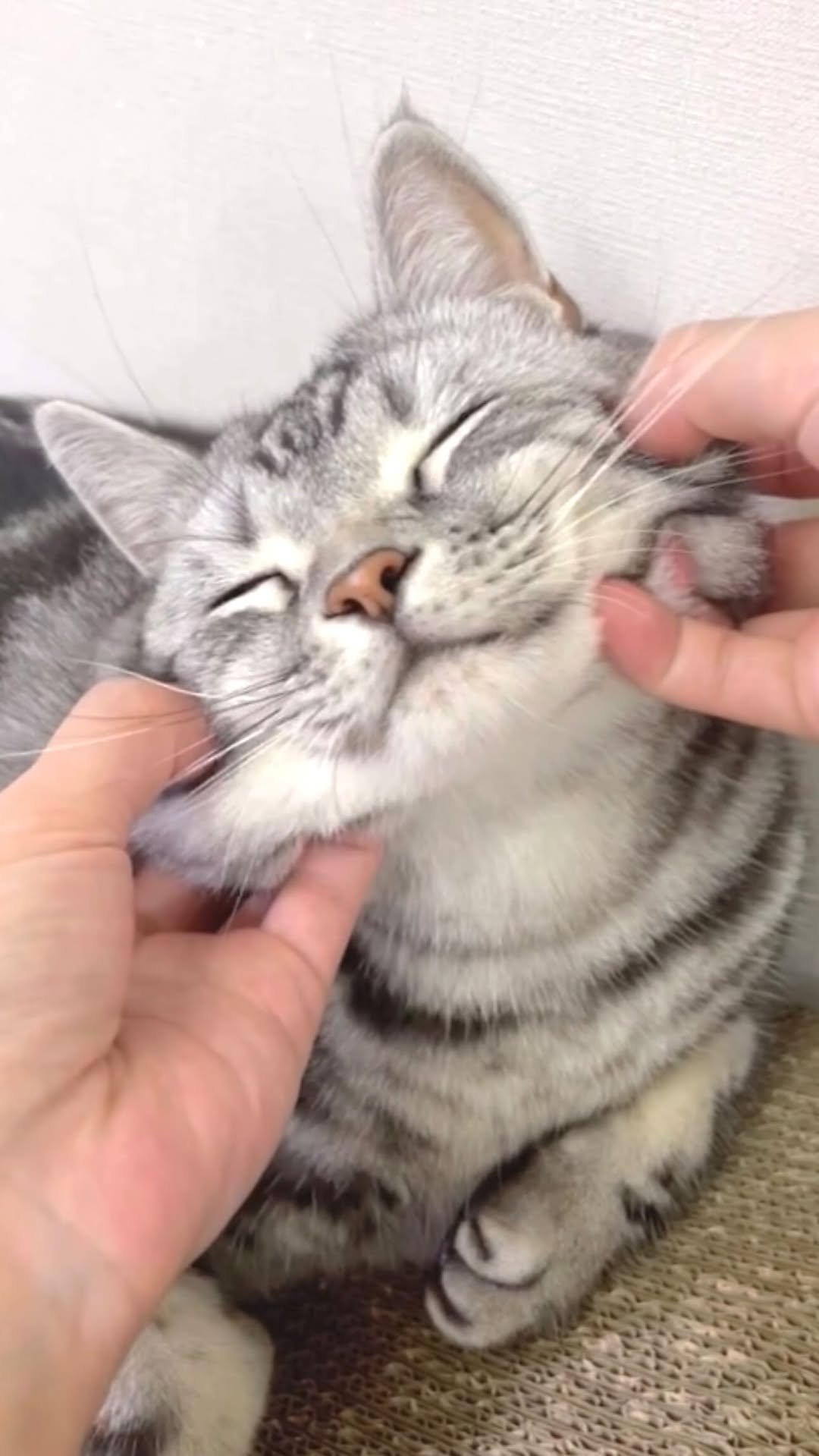 chunbae_gram 게시물 이미지: 오레오 반죽🍪🍞👩🏻‍🍳

Mixing Oreo dough...