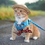 gin.gira.ginta 프로필 사진