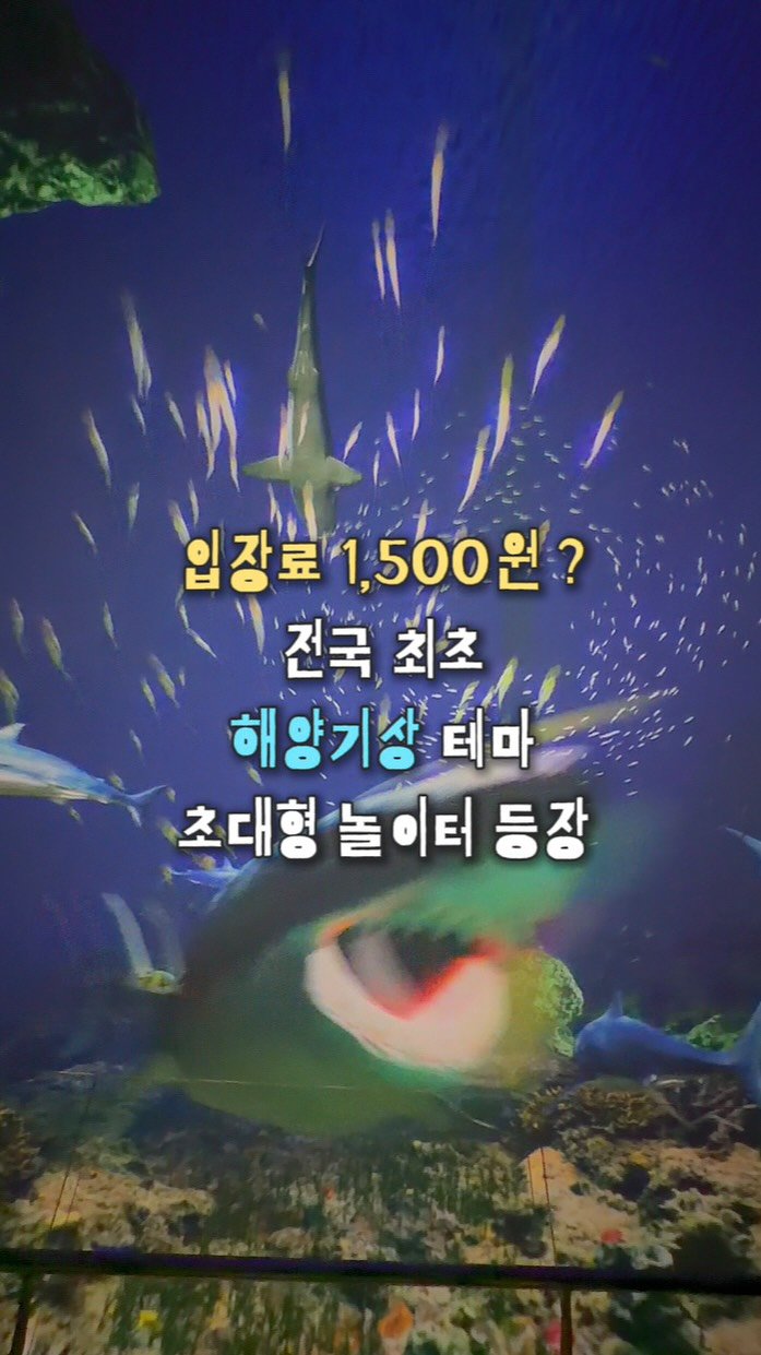 chunzzangee 게시물 이미지: 입장료 1,500원❓전국 최초 해양기상 테마 초대형 놀이터 등장 🌊

(*이 영상은...