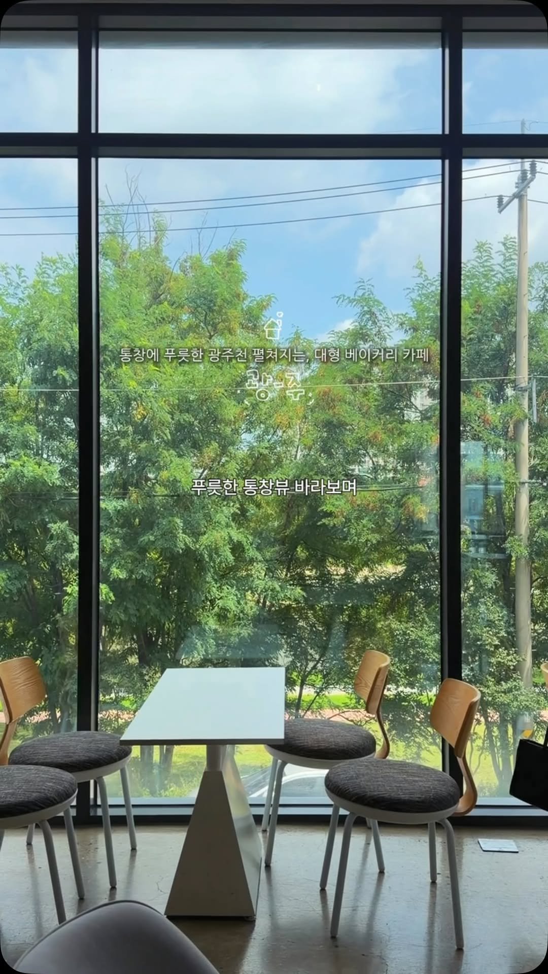 chunzzangee 게시물 이미지: 광주에 이런 포레스트뷰 대형카페가 있었다니 .. 🌳

아니 통창에
푸릇한 나무...