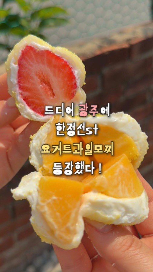 chunzzangee 게시물 이미지: 드디어 광주에도 요거트과일모찌(🍡 ) 등장이요 ₊˚⊹ ˖꙳ 🍓🍈🥭🍇

와 드디어...