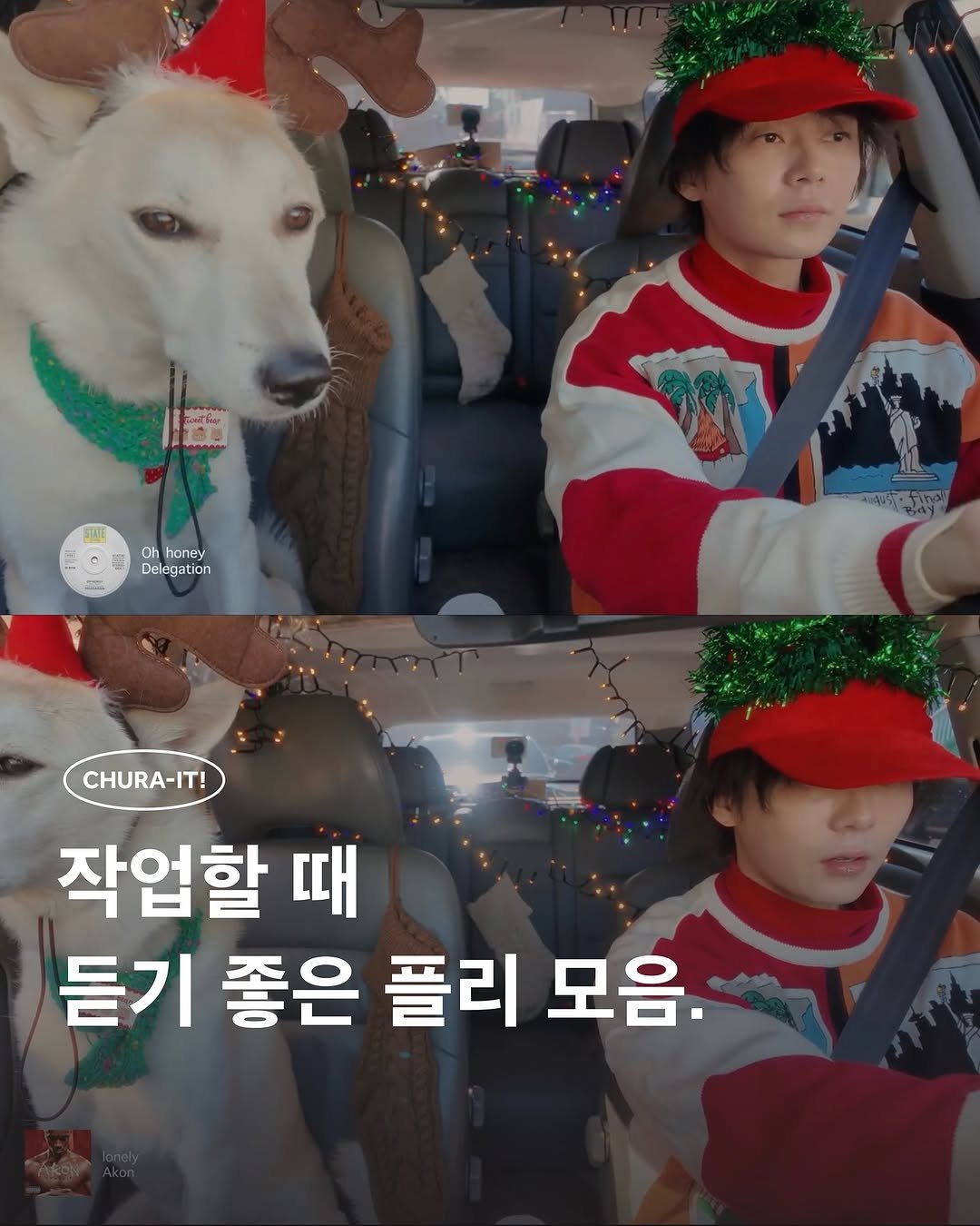 Photo by 츄라잇 아카이브 on December 15, 2025. May be an image of Groenendael and text that says '|密 @ 0 Ch honey Delegation Delega CHURA-IT! 작업할 때 듣기 좋은 플리 모음.'.