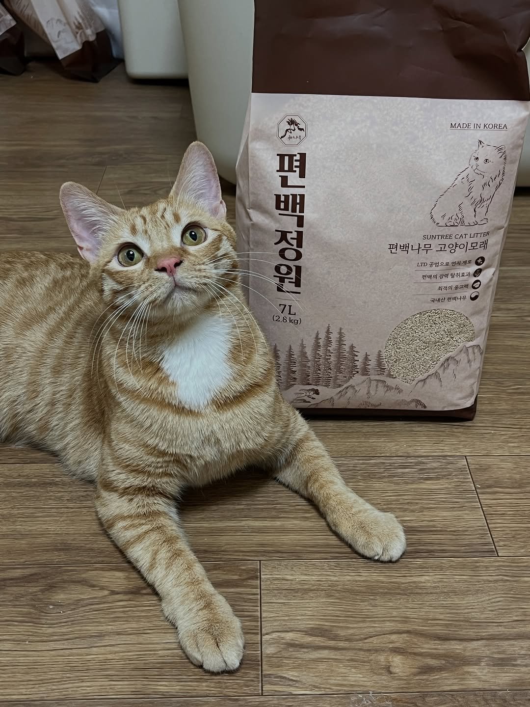 Photo shared by 츄씨네 사남매 이열무 독무대 on May 29, 2025 tagging @goobee_official.