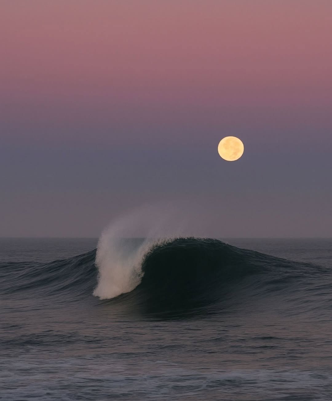 Photo shared by CINEGRAMS on January 05, 2026 tagging @massimosimigliani. May be an image of ocean, eclipse, water, coast and text.