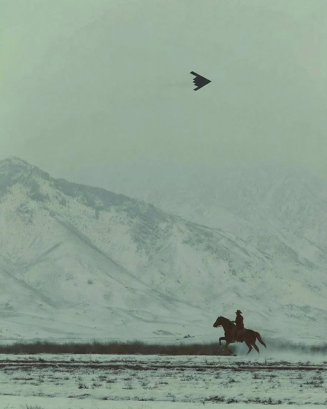 Photo by CINEGRAMS on January 19, 2026. May be an image of eagle, parachute, airplane and text.