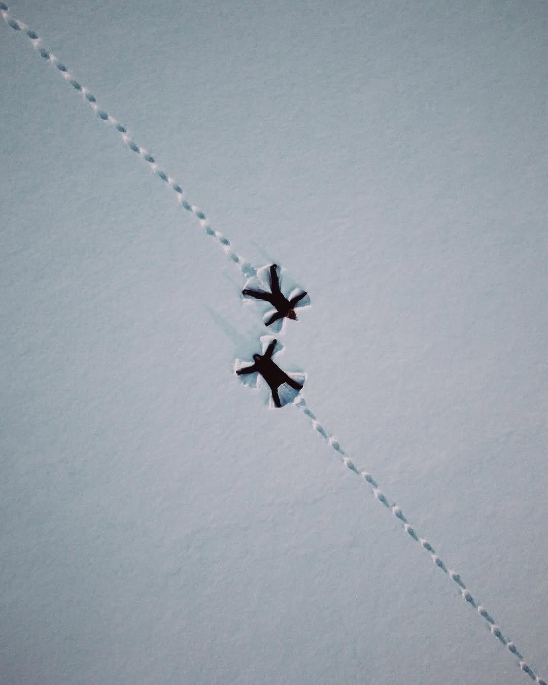 Photo shared by CINEGRAMS on January 14, 2026 tagging @chuuubaka. May be an image of skydiving, helicopter, kite, parachute, airplane and text.