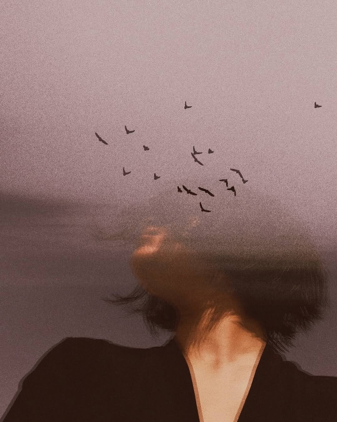 Photo shared by CINEGRAMS on February 11, 2026 tagging @joannacanara. May be an image of bird and text.