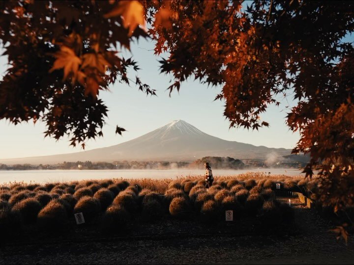 cinegrams 게시물 이미지: 1 - 4, Which is your favorite? 🎬
by...