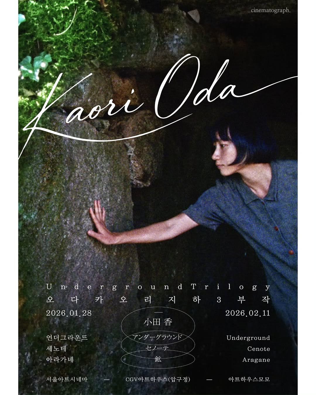 Photo by 시네마토그래프 on January 13, 2026. May be an image of poster, tree and text that says 'cinematograph. aori Oda UrdergroundTrilog! n e g r o 오 다 카 오 오다카오리지하 리지하3부작 부 리 하 3 작 2026. 2026.01.28 01 28 2026.02.11 1 2026. 02. 언더그라운드 세노테 아라가네 小田香 アンダー ダーグラウンド グラウント セノーテ -ㅊ 鉱 Underground 서울아드시네마 Cenote ν CV아프하우스(압구점) 스(압구청) Aragane 아트하우스모모 아트하우 스모모'.