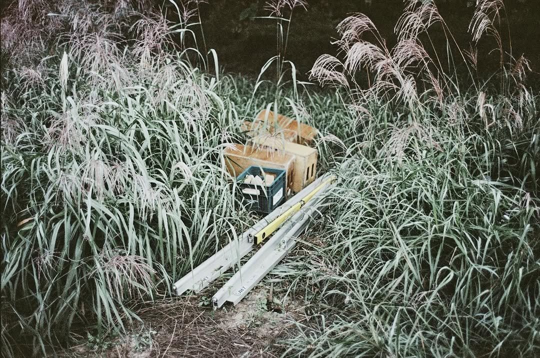 Photo shared by 워킹아하 WALKING AHA on December 11, 2025 tagging @cinematograph____. May be an image of shovel, garbage, sugarcane, lawnmower, shopping cart, grass, curb and text.