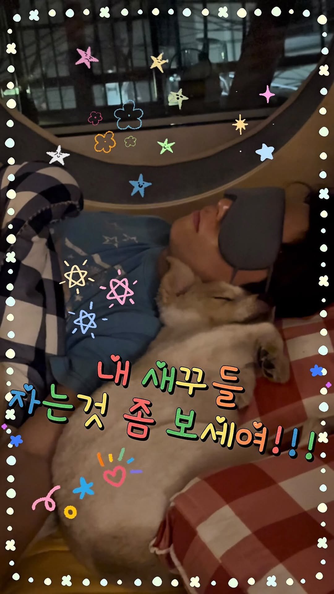 cinesun 게시물 이미지: 엄마 마음이 이런걸까용
내 새꾸들 자는 모습보니
넘나리 행복데스